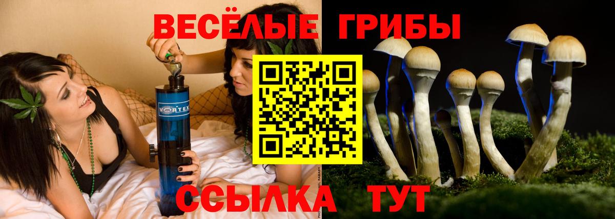 Дубна  Псилоцибиновые грибы GOLDEN TEACHER  Вход с VPN 